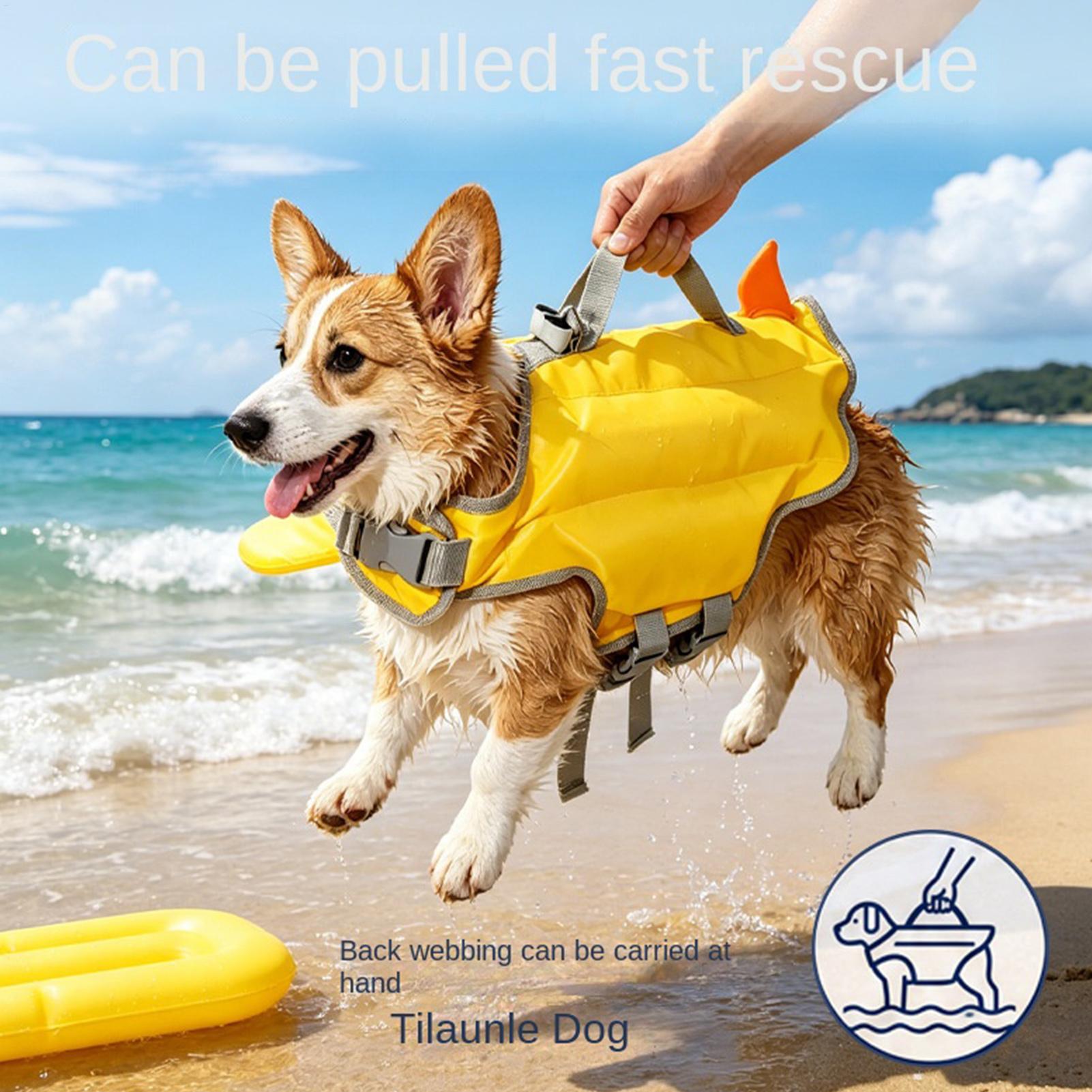 سترة نجاة للكلاب عالية الطفو م - مراجعة Life Jacket وسعره