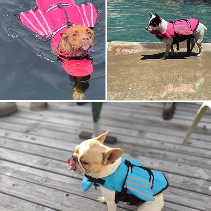 الكلب سترة نجاة عاكسة قابل للت - مراجعة Life Jacket وسعره